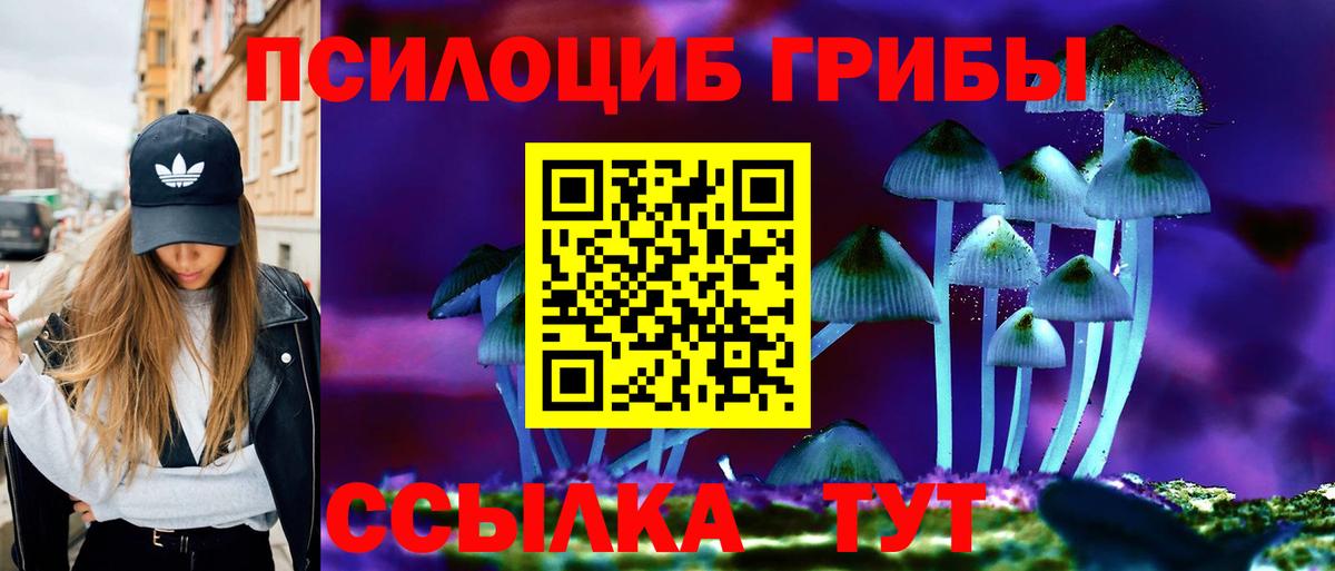 Галлюциногенные грибы Psilocybe  Вход с VPN  Железногорск  Псилоцибиновые грибы GOLDEN TEACHER 