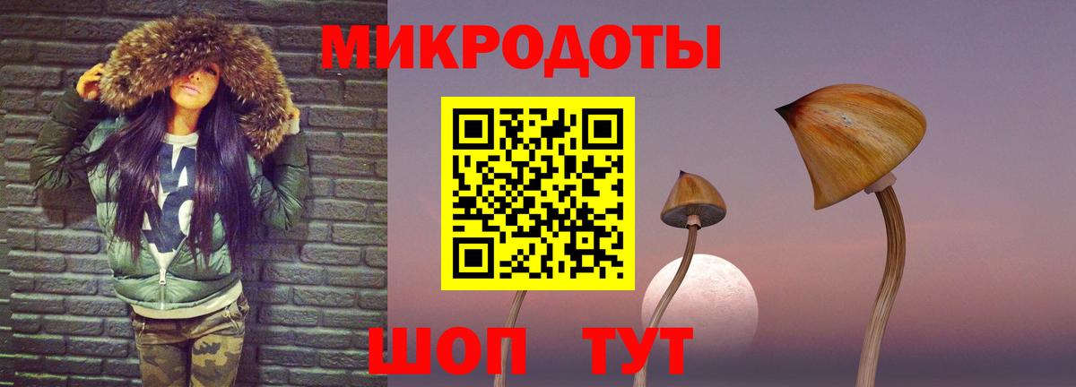 Псилоцибиновые грибы Cubensis Железногорск